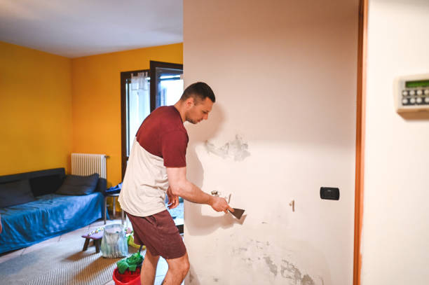 Attic Mold Removal in Medford, MA